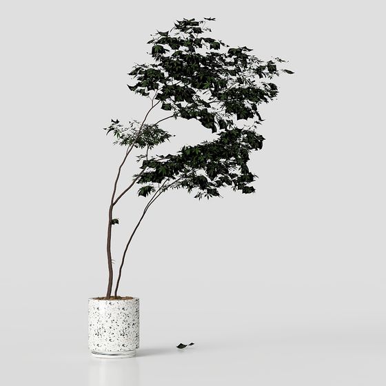 Lush Indoor Potted Plant 3D model