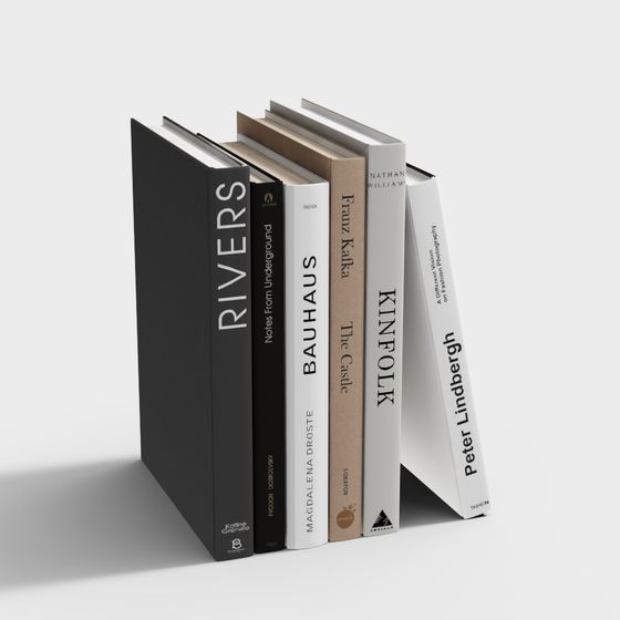 Elegant Minimalist Bookshelf 3D model