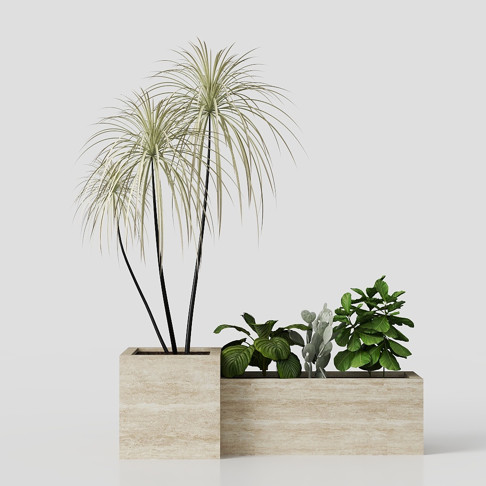 24047 Green Plant