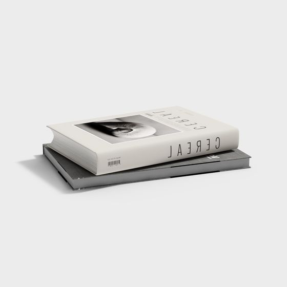 Cereal Book Stack 3D model