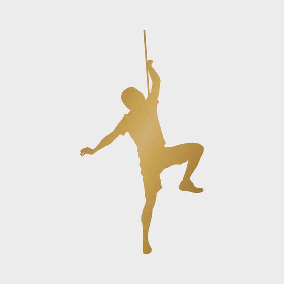 Dynamic Pole Climber 3D model