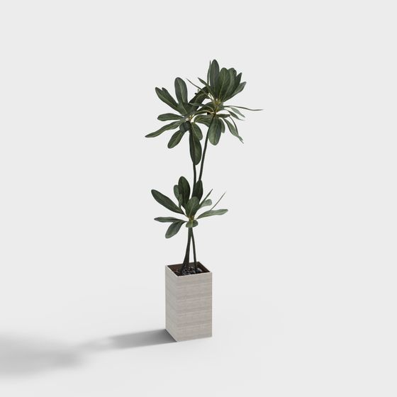 Realistic Oak Tree 3D model