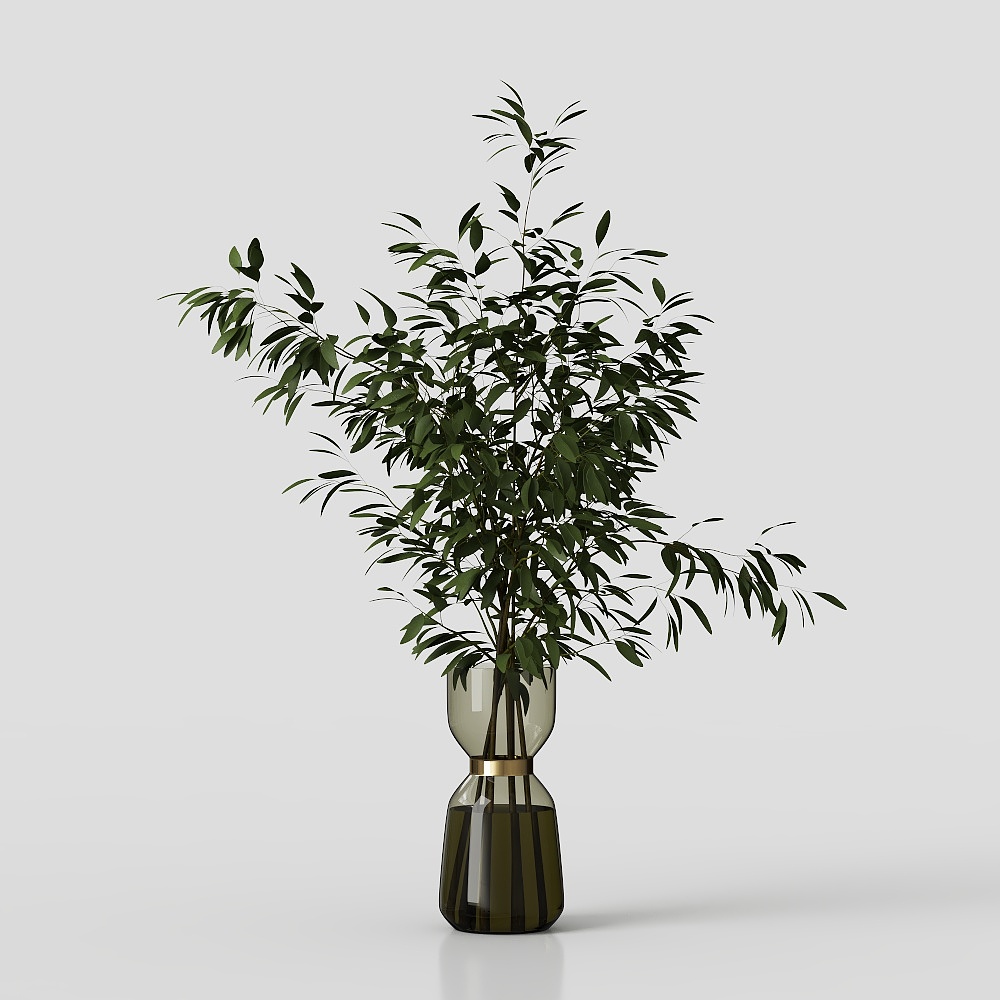 Colección de plantas de interior