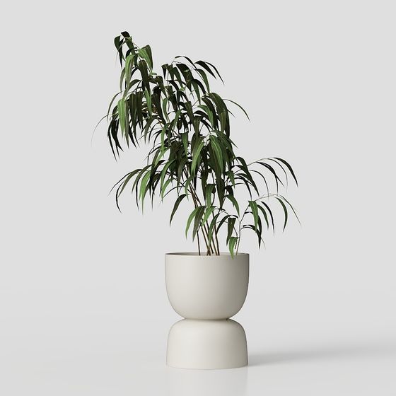 Stylish Urban Green Plant 3D Model