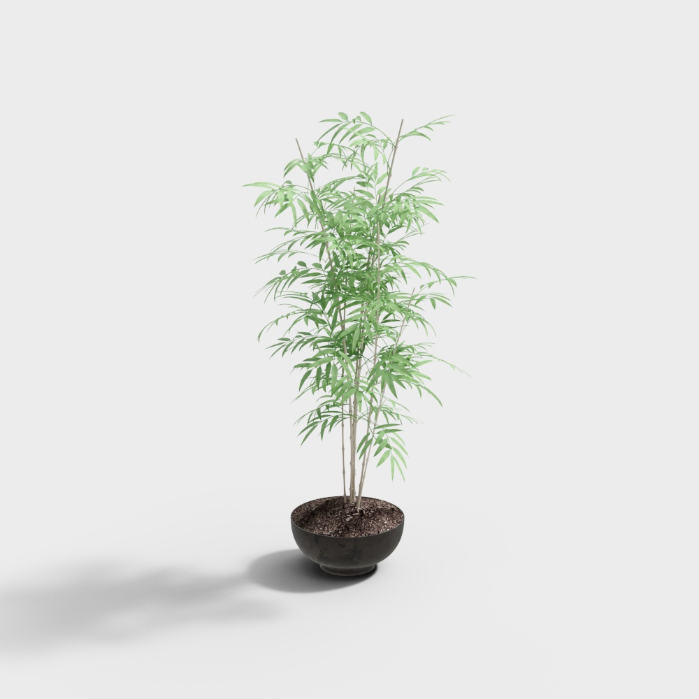 Charming Bamboo Potted Plant 3D model