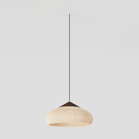 Stylish Low-Polygon Hanging Light 3D model