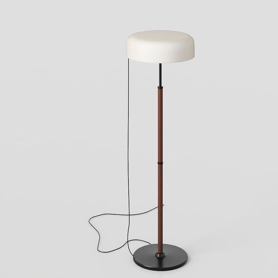 Elegant Modern Floor Lamp 3D model