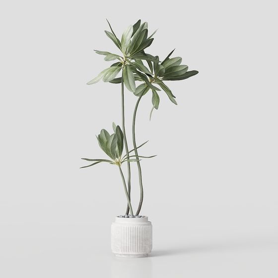 Elegant 3D Plant Pot Model for Modern Interiors