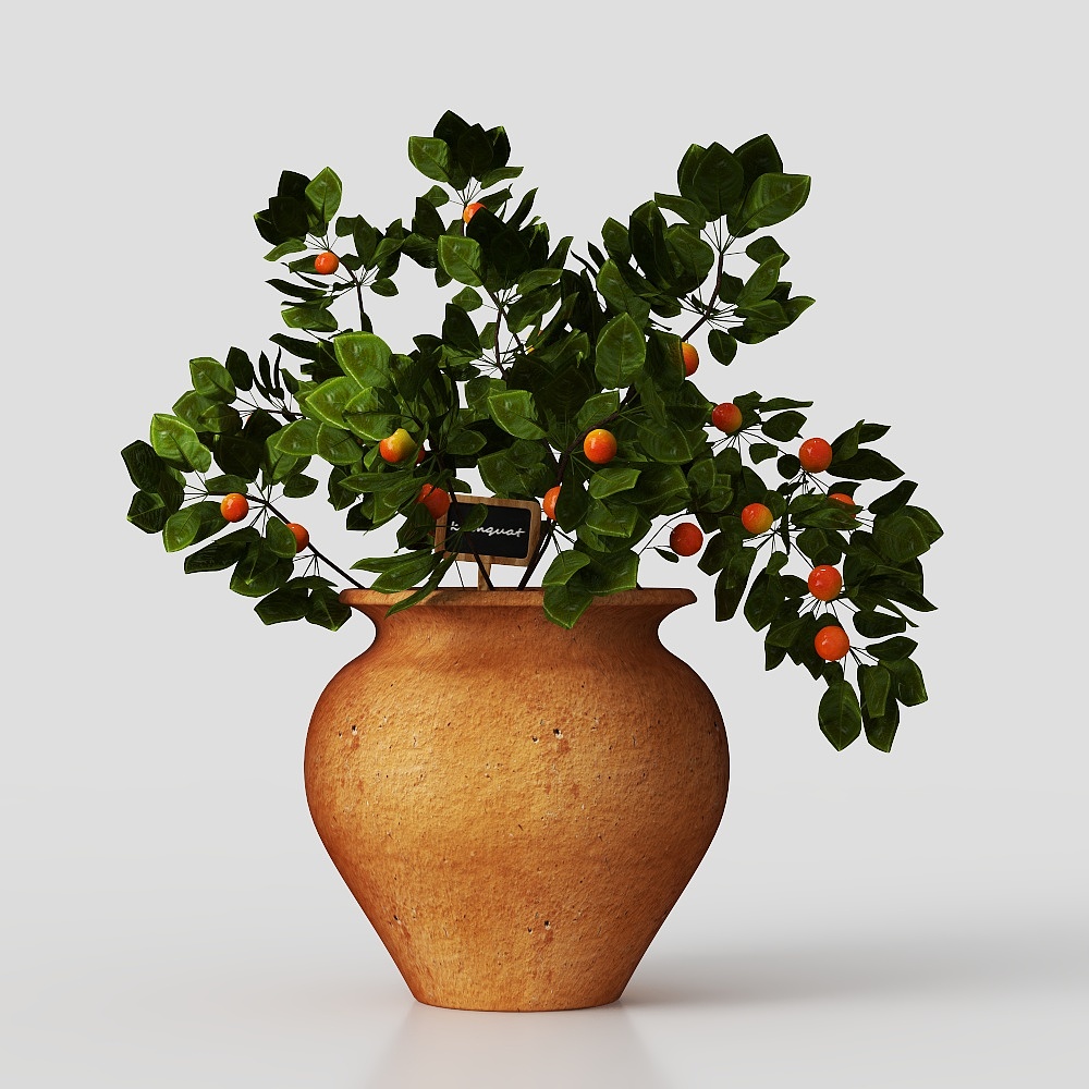 Cây cảnh trong chậu hiện đại