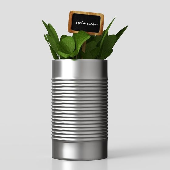 현대 녹색 식물 화분 01