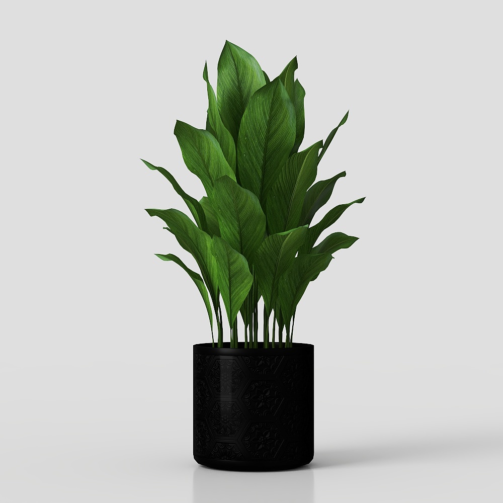 Modern Living Room Potted Plants
