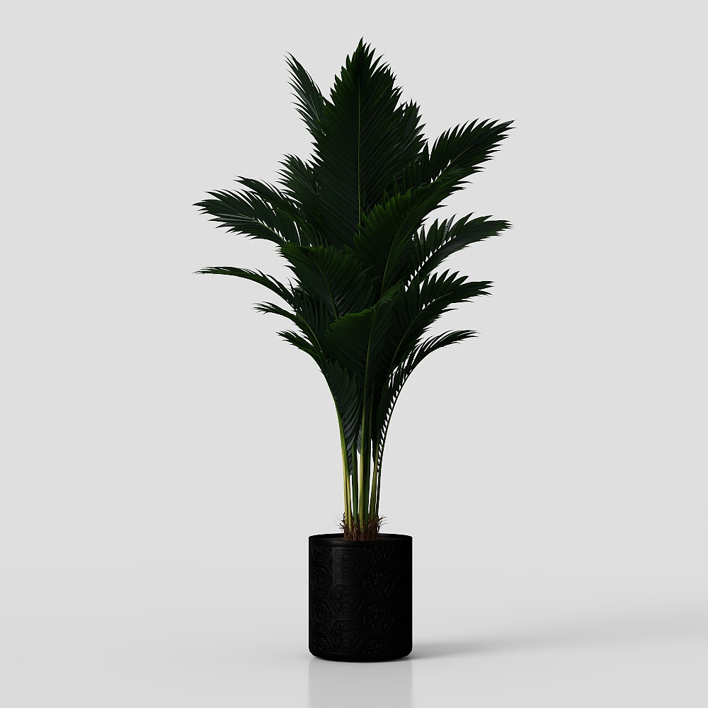 Modern Green Plants
