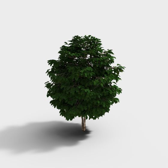 Realistic 3D Green Tree Model for Creative Projects