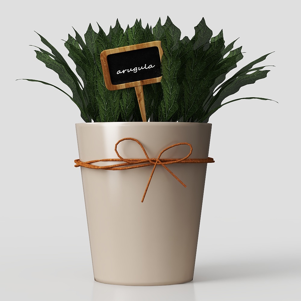 Cây cảnh trong chậu hiện đại