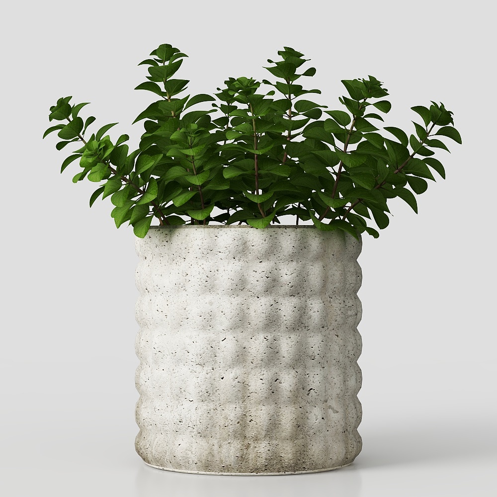 การปลูกพืชสีเขียวในสนามหญ้าในแบบทันสมัย