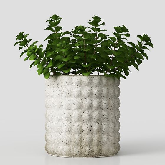 การปลูกพืชสีเขียวในสนามหญ้าในแบบทันสมัย