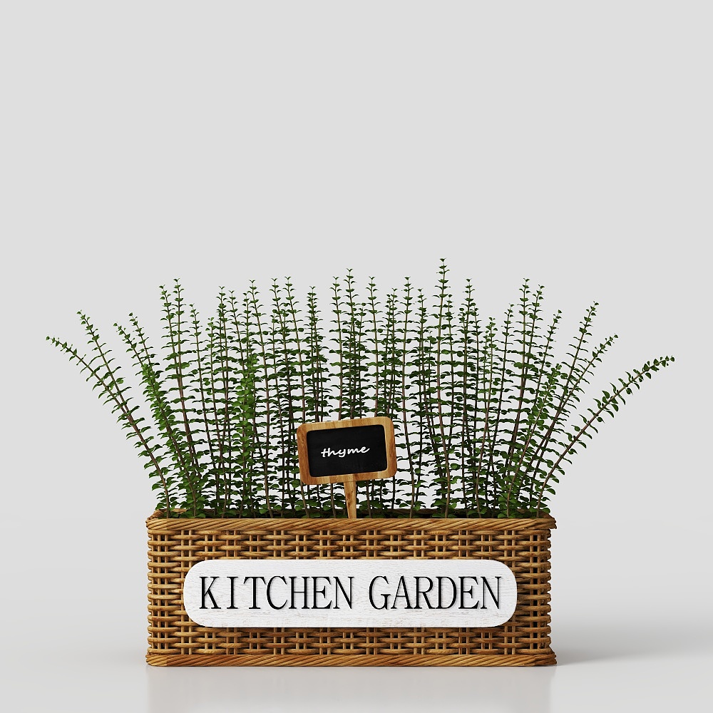 Modern Living Room Potted Plants