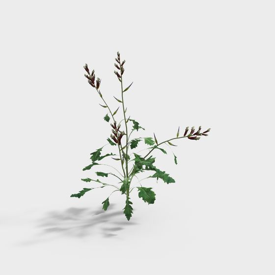 Wild Grass Sprite 3D Model Design