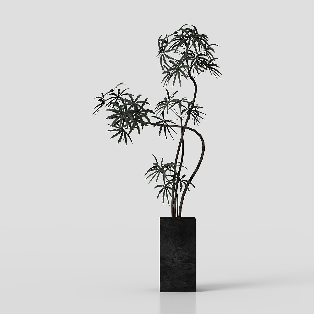 Plante en pot de fougère de style ancien