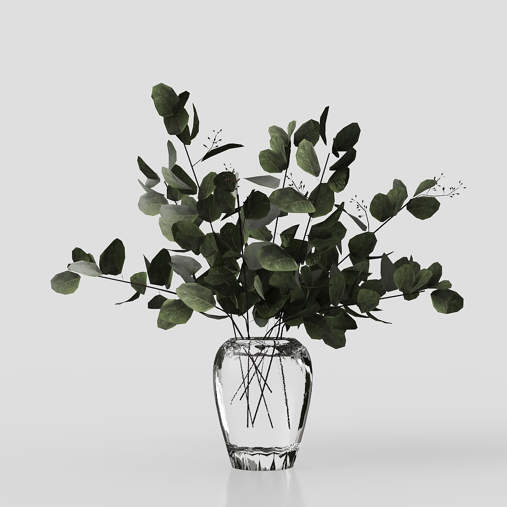 พืชตกแต่งสไตล์ทันสมัย