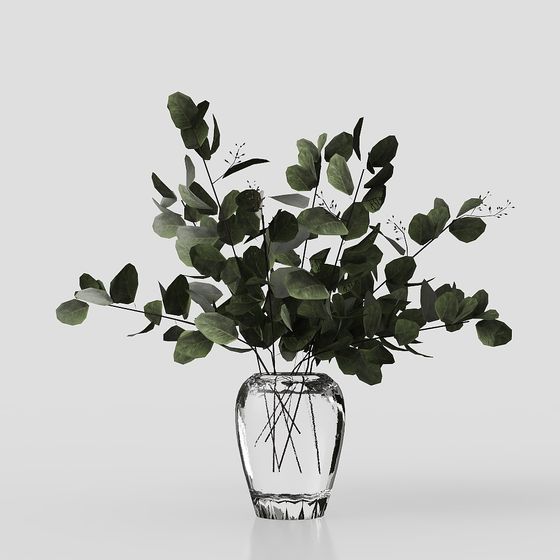 พืชตกแต่งสไตล์ทันสมัย