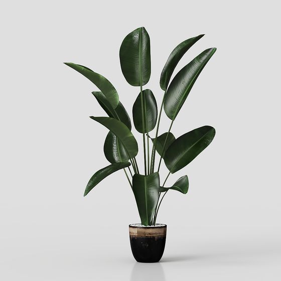 Mid-Century moderne Wohnzimmer Topfpflanzen