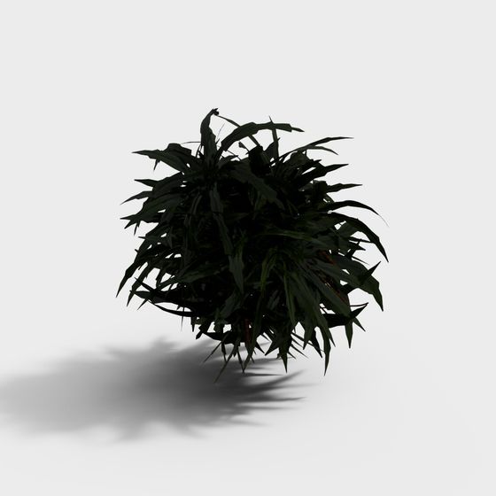 Tropical Plant 3D Model for Creative Projects