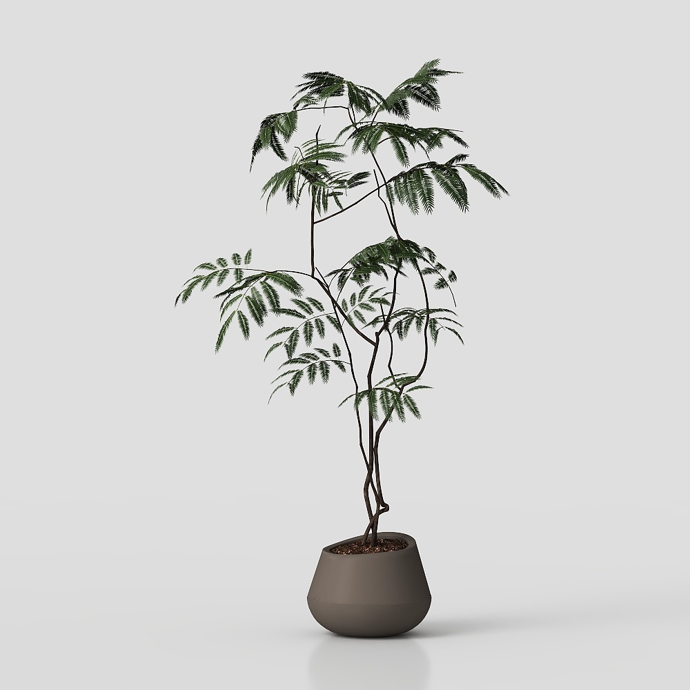 Medieval Style Garden Fern