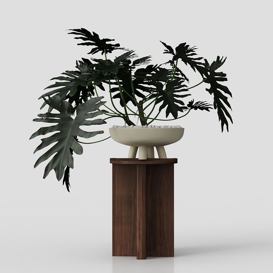 Vibrant Indoor Plant 3D model for Creative Spaces
