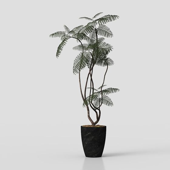 Tropical Potted Plant 3D Model