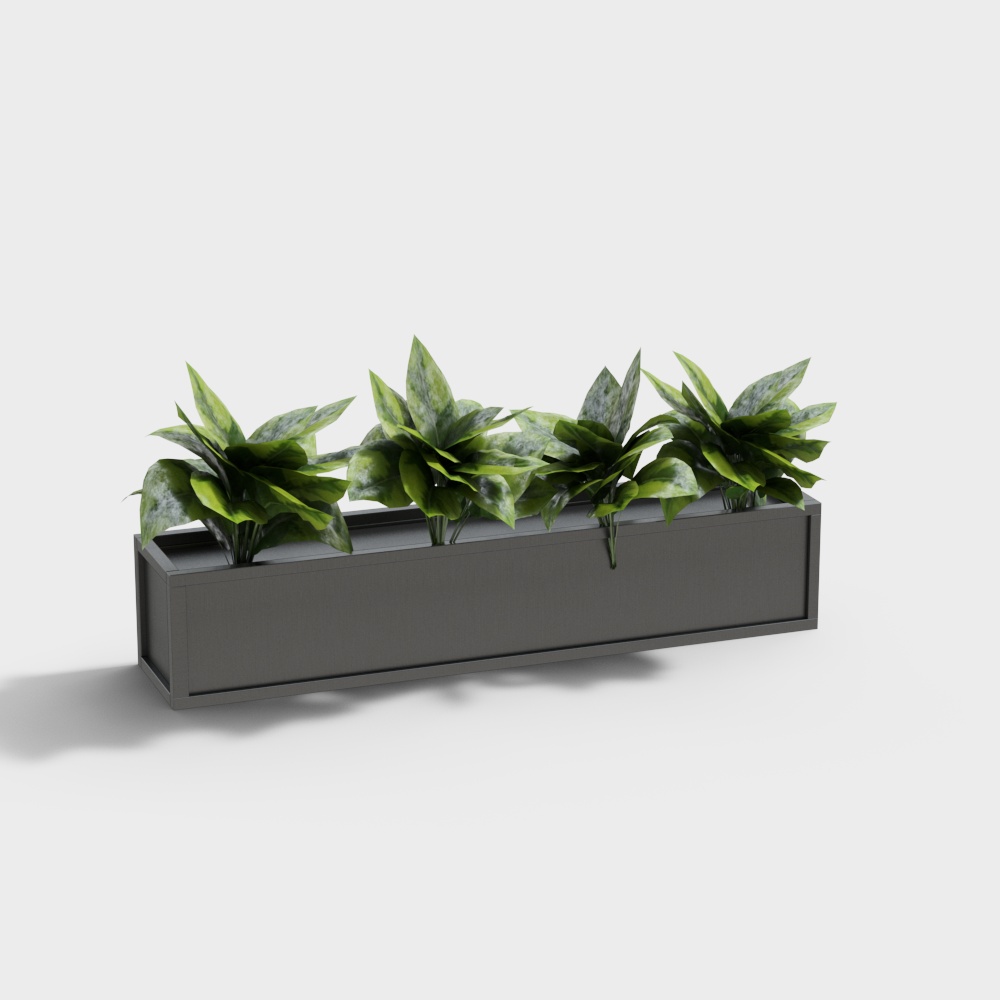 Modern Flower Box