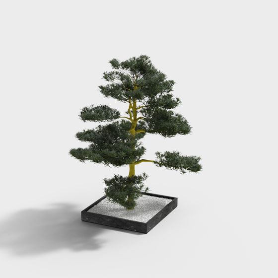 Elegant Low-Poly Pine Tree 3D Model for Various Uses