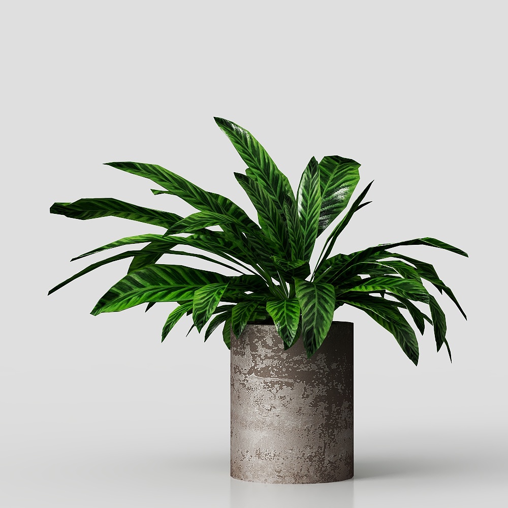 Cảnh cây xanh trong chậu phòng khách hiện đại