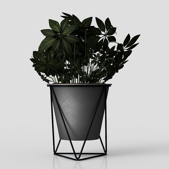 Современные растения для гостиной