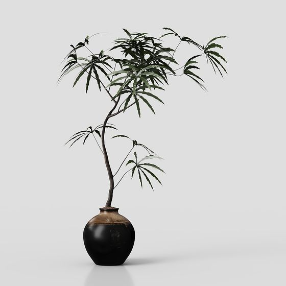 Antique Style Potted Plant 3D Model