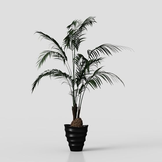 Vibrant Palm Tree 3D model for Creative Spaces