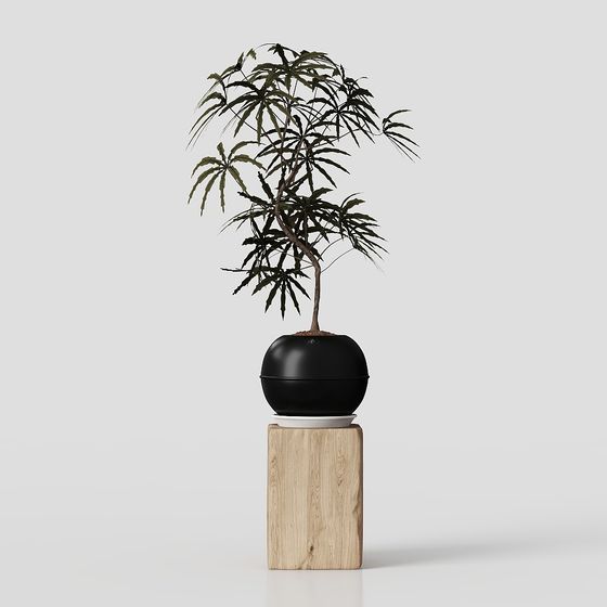 Elegant Greenery Plant 3D Model for Contemporary Designs