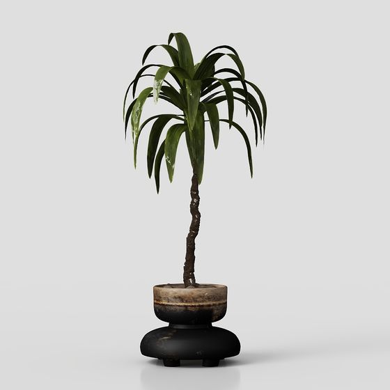 Stylish Indoor Plant 3D Model for Creative Projects