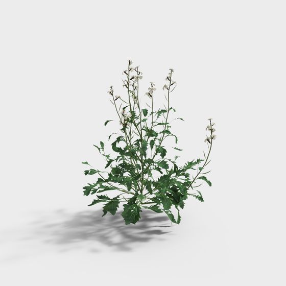 Wildflower Cluster 3D Model for Creative Use