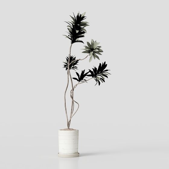Unique Low-Poly Modern Plant 3D model