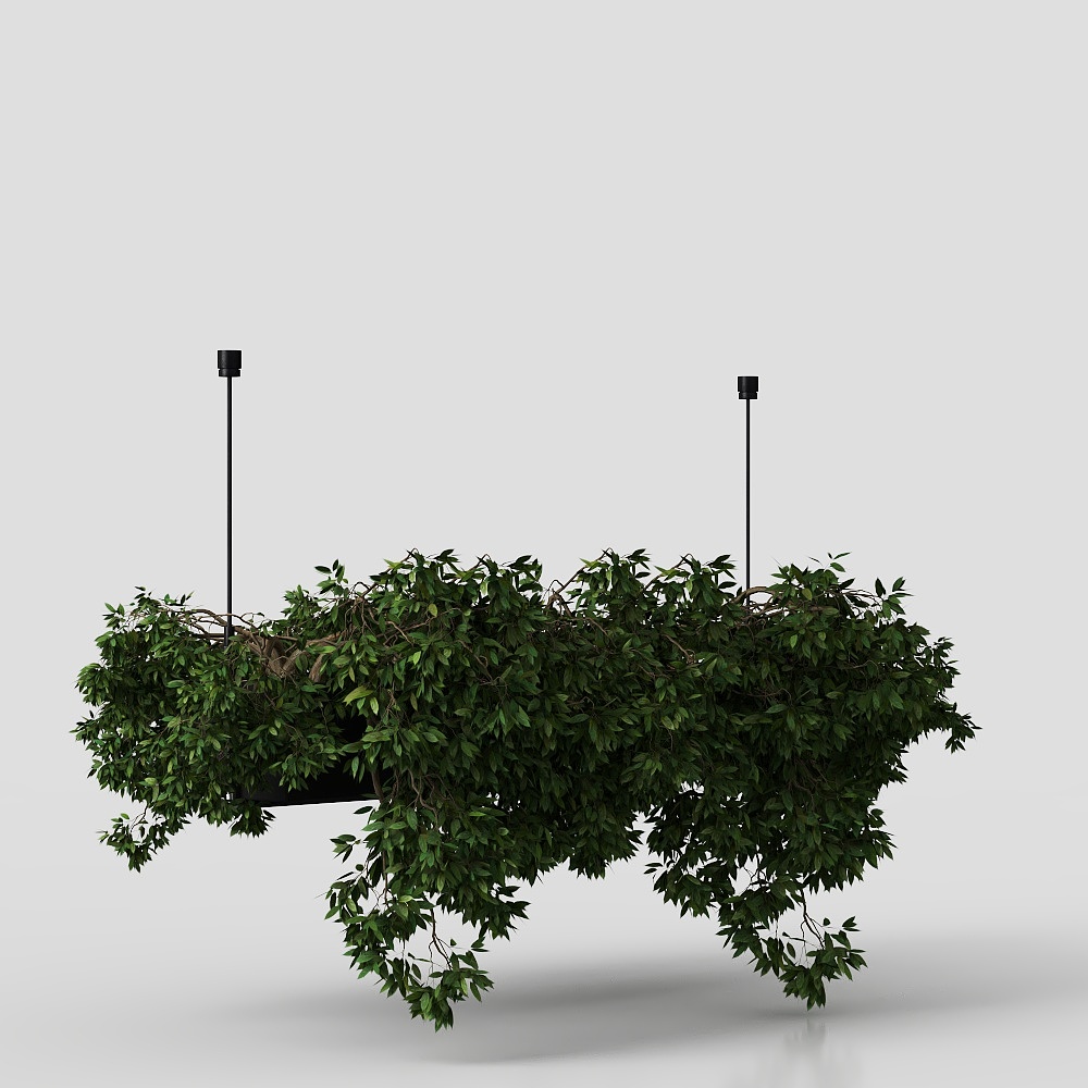Modern Living Room Green Plant Hanging Basket