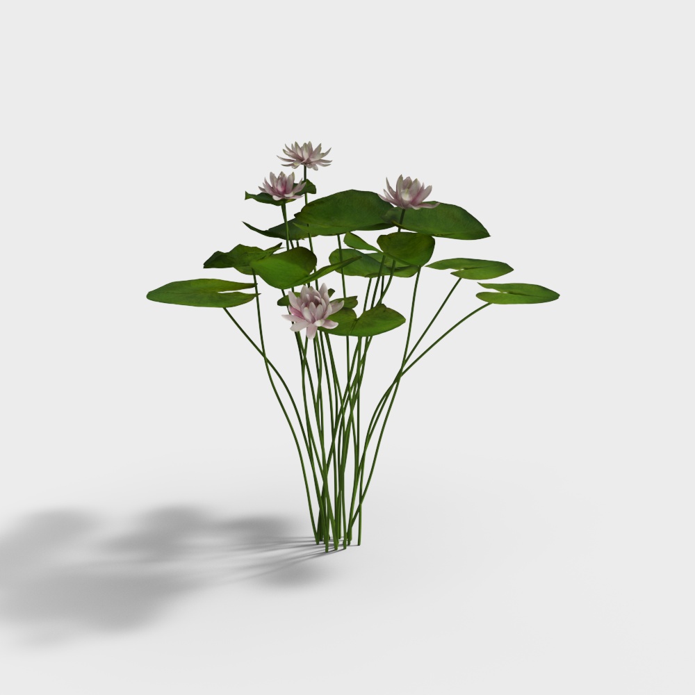 Modern Outdoor Lotus