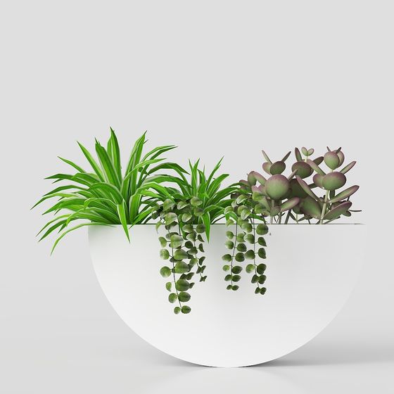 Round Pot Plant Arrangement 3D model