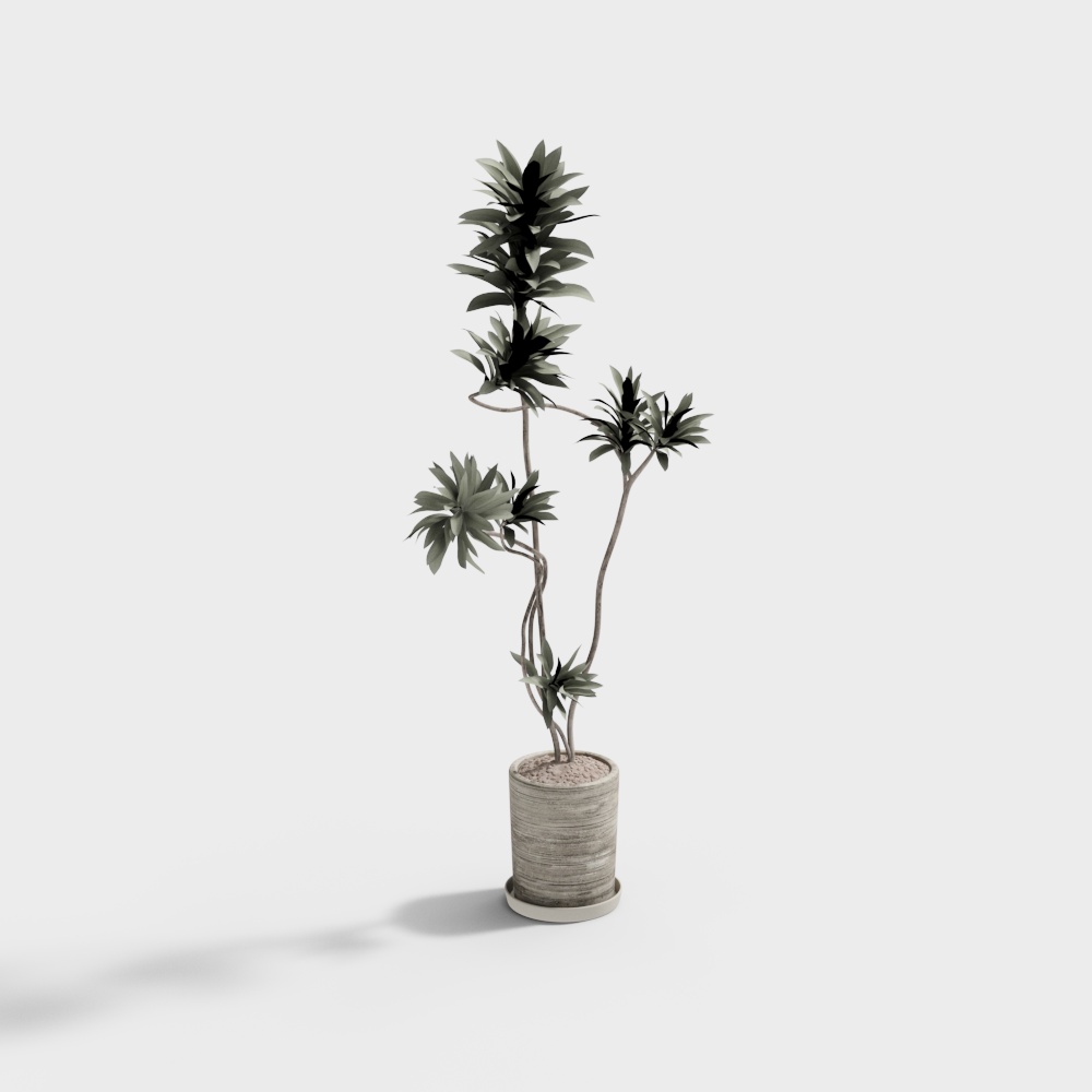 Modern Bonsai