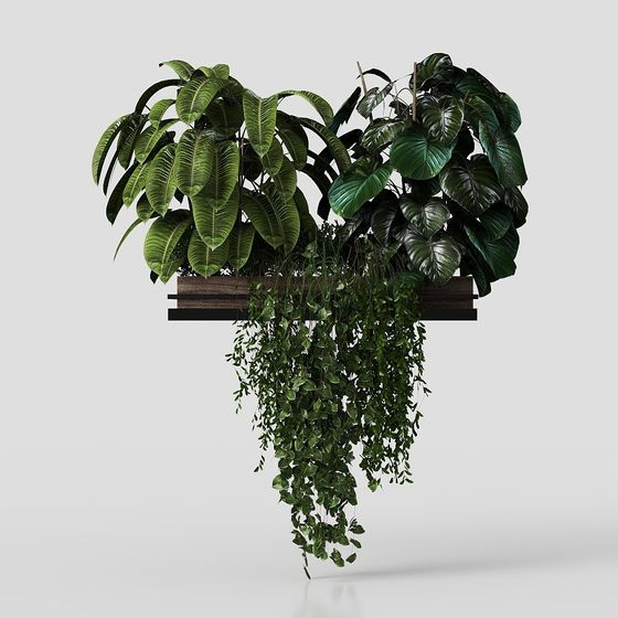 Planta en Maceta Moderna