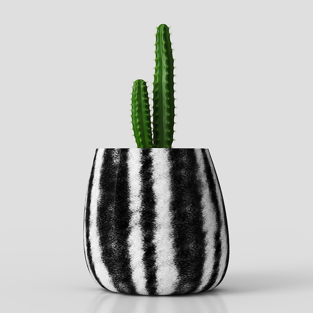 Modern Potted Plants