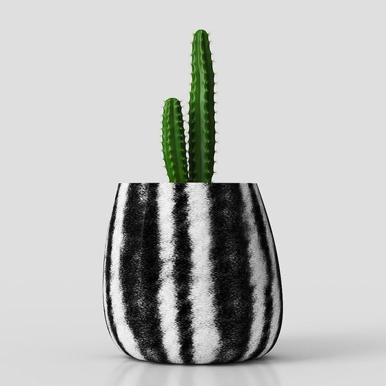 Zebra Pattern Flower Pot with Cactus 3D model