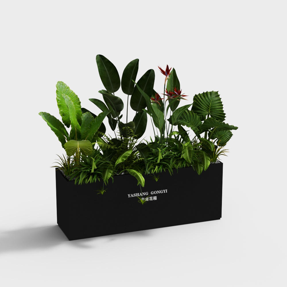 Modern Outdoor Green Plant Flower Box