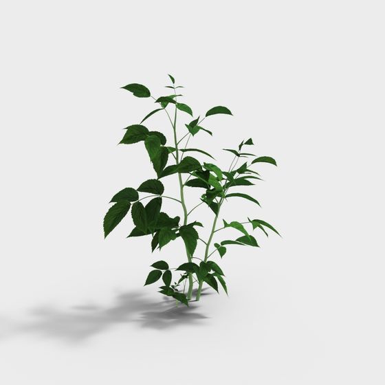 Forest Spirit 3D model for Designers and Developers