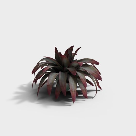 Tropical Plant 3D model with Low Poly Design